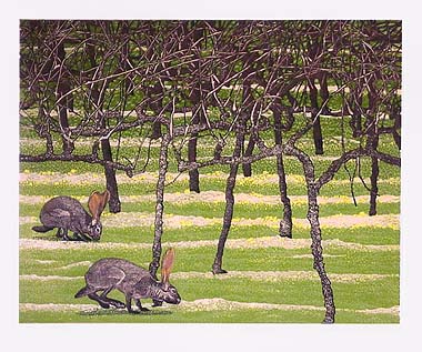 Andrea Rich - Jack Rabbits