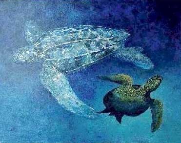 Green Sea Turtle