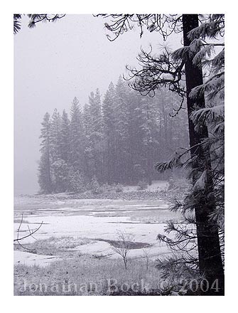 Bass Lake Snowfall, Christmas Day 2003, Photograph by Jonathan Bock