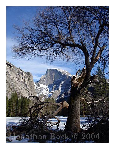 Half Dome with Broken Tree by Jonathan Bock