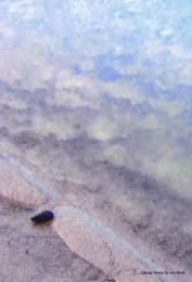 Cloudy Shore - photograph by Jon Bock